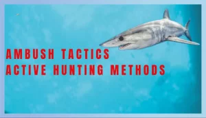 Hunting Techniques