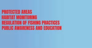 Strategies For Managing And Safeguarding The Basking Shark'S Feeding Habitats
