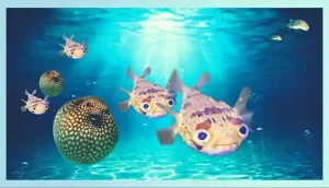 Nutritional Requirements Of Puffer Fish