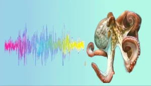 Octopuses Create Sound