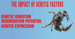 The Impact Of Genetic Factors