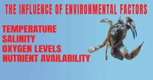 The Influence Of Environmental Factors